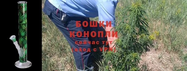ПСИЛОЦИБИНОВЫЕ ГРИБЫ Бугульма