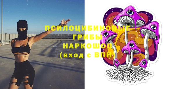 мескалин Бородино
