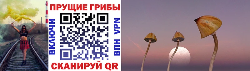даркнет какой сайт  Можга  Псилоцибиновые грибы прущие грибы 